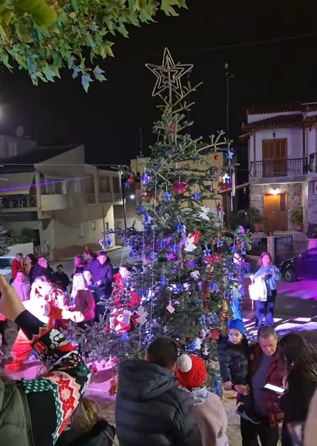 Δένδρο_Ασίνη_1.JPG