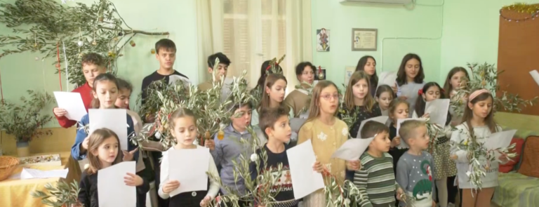 Στιγμιότυπο-2024-12-15-1.35.14-μμ-e1734262625892-768x295.png