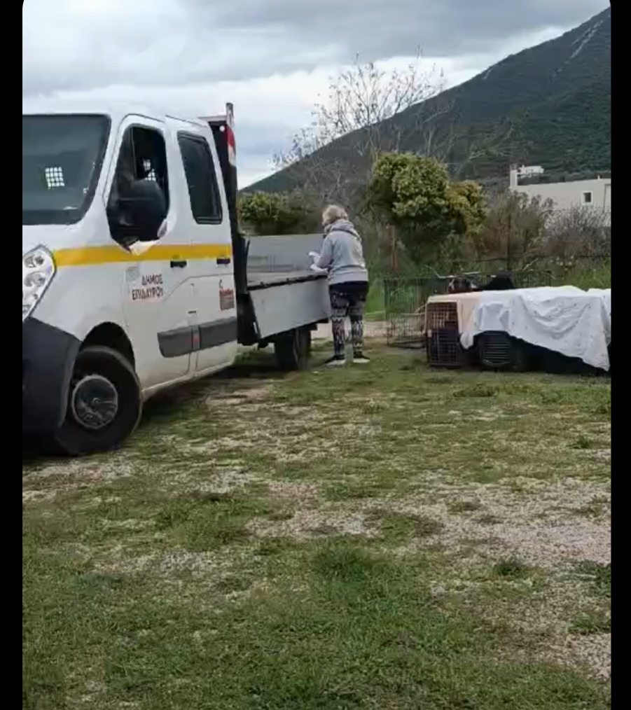 ΦΩΤΟΓΡΑΦΙΑ_3.jpg